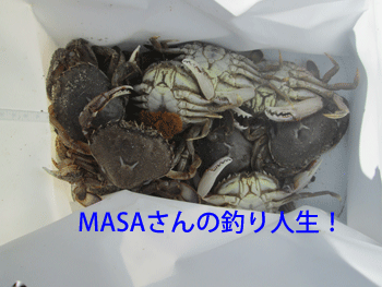 masa01229.gif