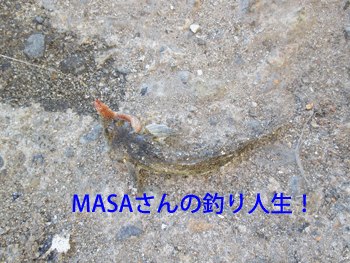 masa01233.gif