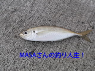 masa01321.gif