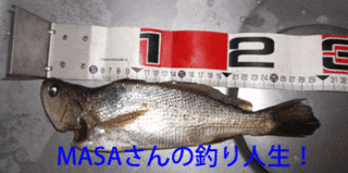 masa01328.gif