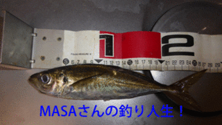 masa01551.gif