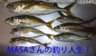 masa01552.gif