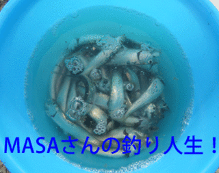 masa01568.gif