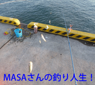 masa01571.gif