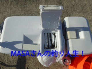 masa01572.gif