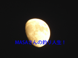 masa01577.gif