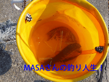 masa01660.gif