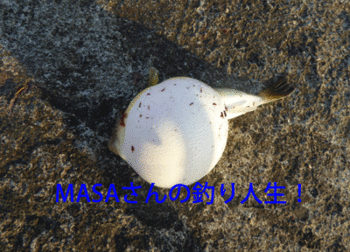 MASA01836.gif