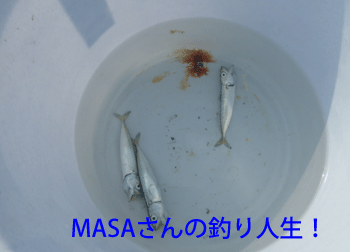 MASA01915.gif