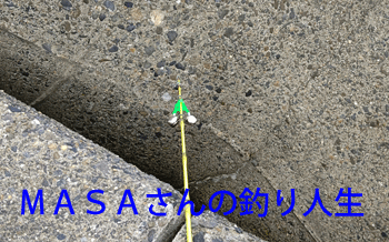 MASA01927.gif