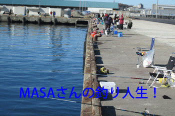 masa01001.gif
