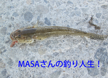 masa01005.gif