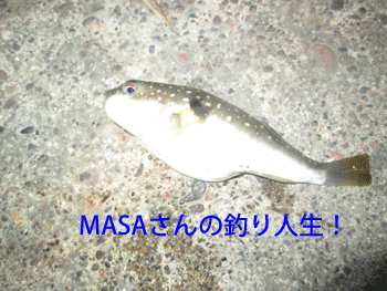 masa01194.gif