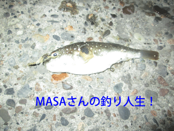 masa01195.gif