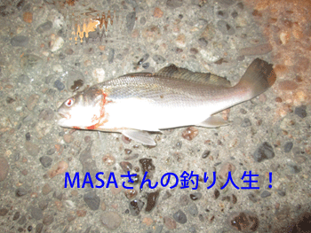 masa01197.gif