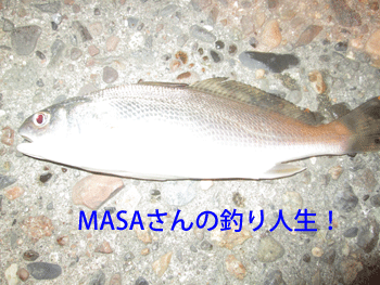 masa01198.gif