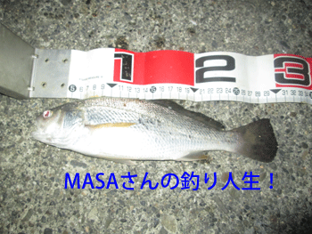 masa01208.gif