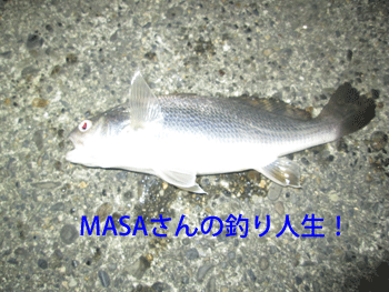 masa01209.gif