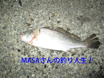 masa01210.gif