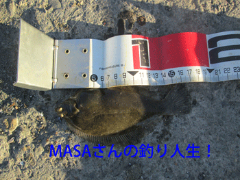 masa01256.gif