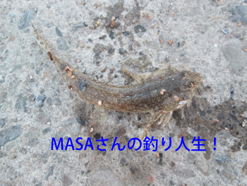 masa01259.gif