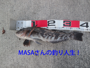 masa01264.gif