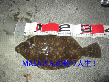 masa01265.gif