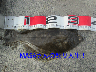 masa01276.gif