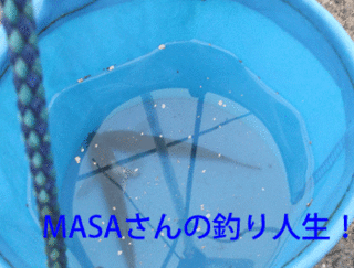 masa01342.gif