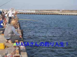 masa01346.gif