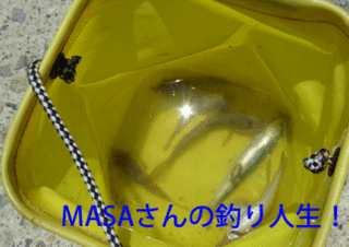 masa01353.gif