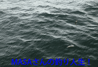 masa01393.gif