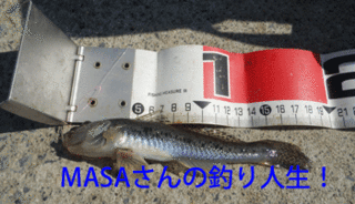 masa01397.gif