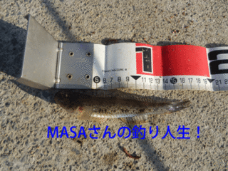 masa01398.gif