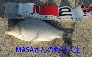 masa01399.gif