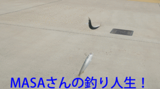 masa01403.gif