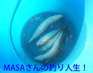 masa01412.gif