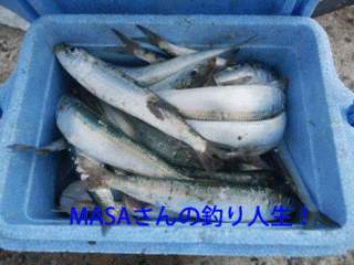 masa01415.gif