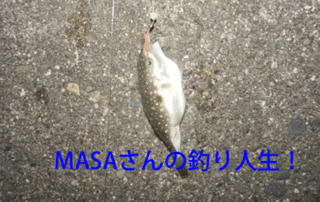 masa01417.gif