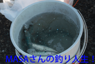 masa01424.gif