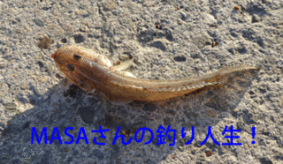 masa01448.gif