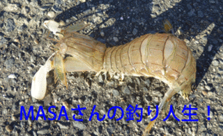 masa01449.gif