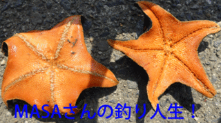 masa01477.gif