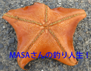 masa01482.gif