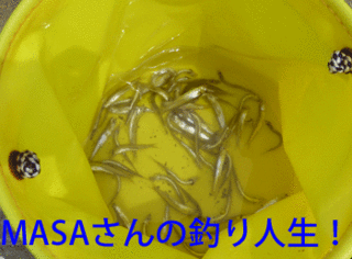 masa01486.gif