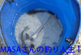 masa01487.gif