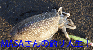 masa01505.gif