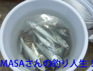 masa01528.gif