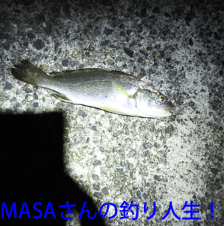 masa01529.gif