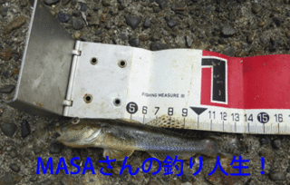 masa01535.gif